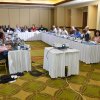 Directors & Regional PAO Meetings